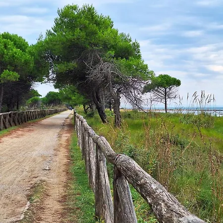 Lejlighed Lovely Flat 100m From The Ideal For 6 Guests Bibione