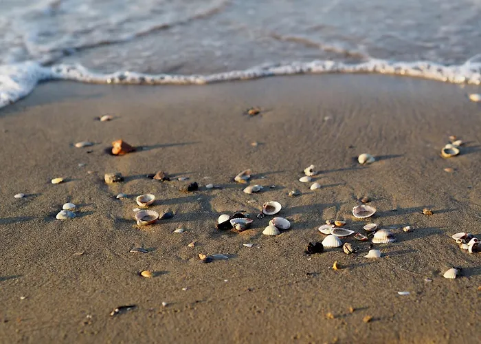 Lovely Flat 100m From The Ideal For 6 Guests Bibione