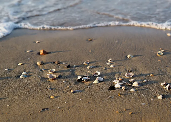 Lovely Flat 100m From The Ideal For 6 Guests * Bibione